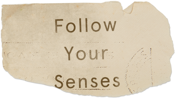 Mensaje de "Follow your senses"